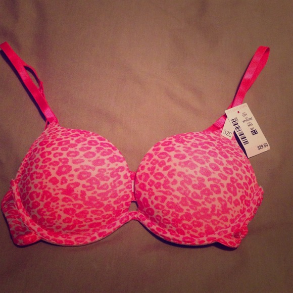 Cheetah Padded Bra!! - Picture 1 of 3