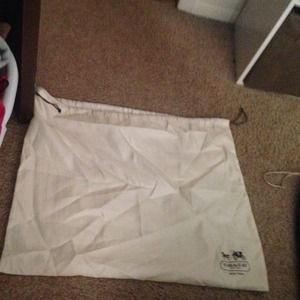 Coach handbag covers! (2)