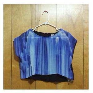 Widow Blue Crop Top