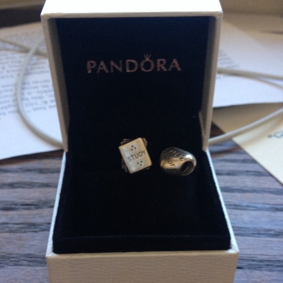 Pandora Charms