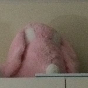 Teddy bear - pink bunny