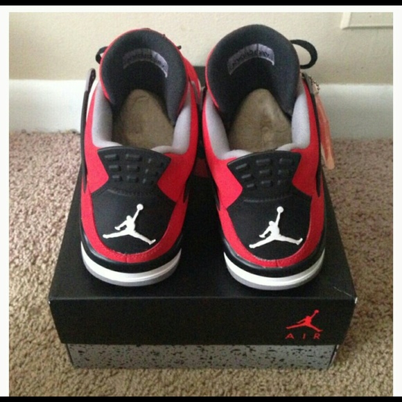 Toros - Picture 2 of 2