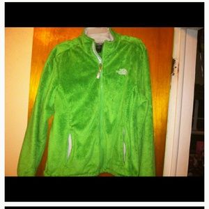 Green osito north face