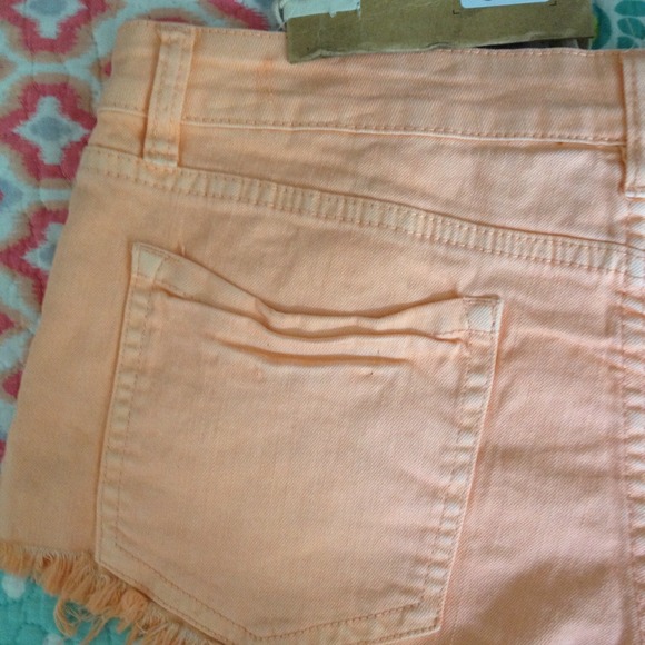 ❌SOLD❌Billabong front tie peachy shorts - Picture 4 of 4