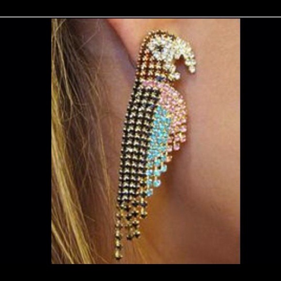 🔥earrings 🔥parrot