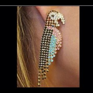 🔥earrings 🔥parrot