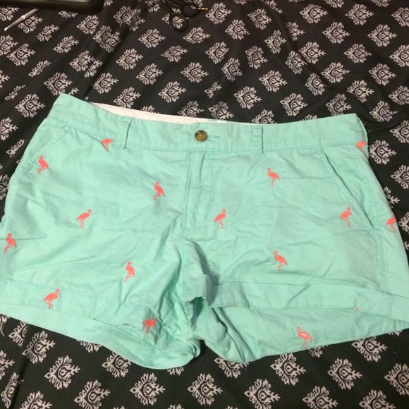 Cute Flamingo Shorts!
