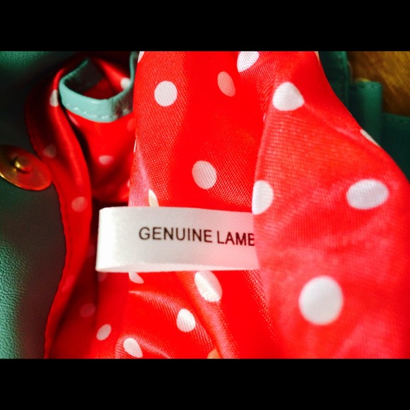 💥FLASH SALE! NWOT GORGEOUS & FUN SIMPLY NINA BAG - Picture 2 of 4