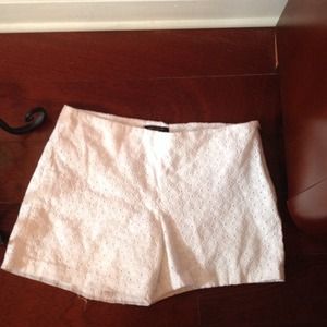Ann Taylor shorts