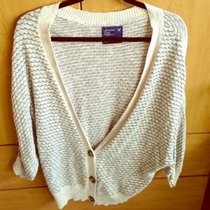 Size L American Eagle Cardigan