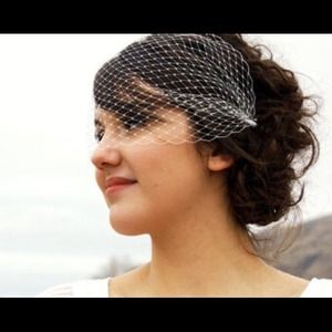Birdcage veil
