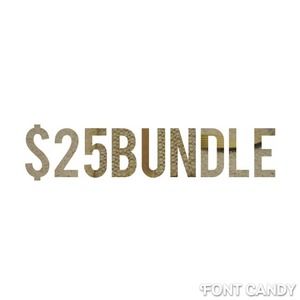 $25 Bundle: 2 coach items, A dress, and flats!