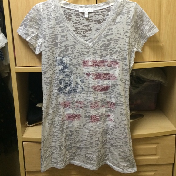 Grey Burnout Patriotic V-Neck