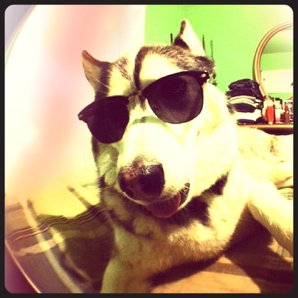 Sunglasses bundle !