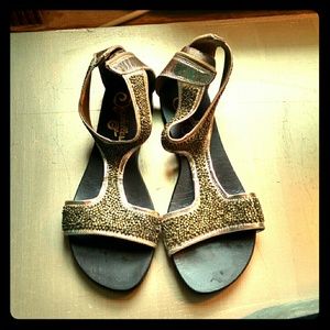 Gold Seychelles Gladiators