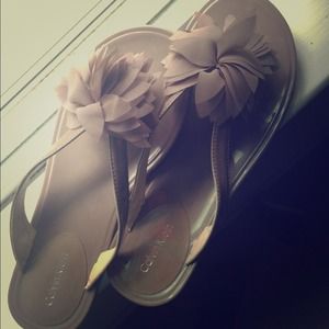 Calvin Klein flip flops