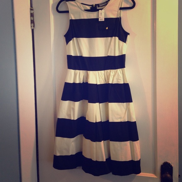 The Limited Dresses & Skirts - Sold in bundle!
