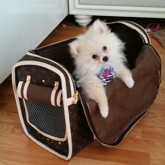 pomeranian carrier