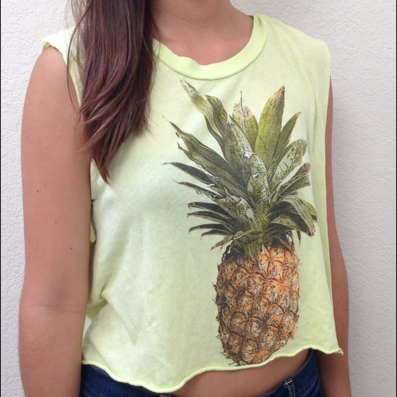 Wildfox crop top
