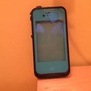 Turquoise and black fake life proof.