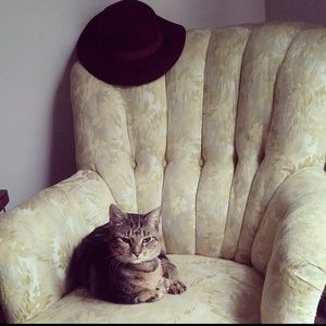 Deena and Ozzy felt Burgundy floppy hat