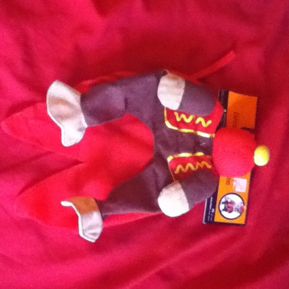 Halloween dogs  circus monkey custome