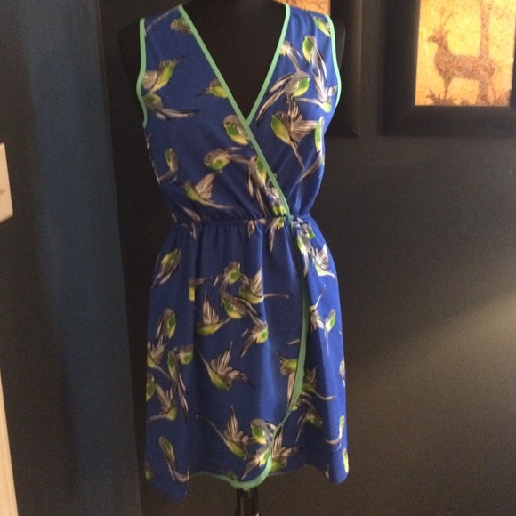 Blue dress with birds!