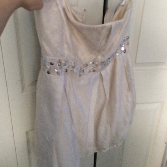 Badley Mischka Dress