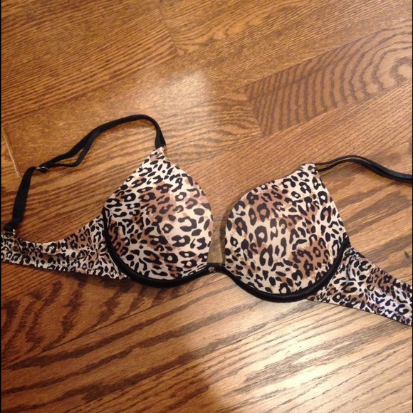lily of France bra