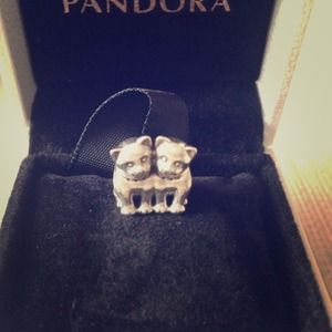 Perfect together cats pandora charm 100%real