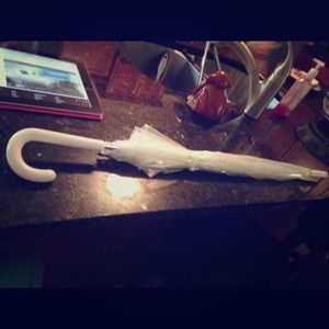 Clear bubble shape umbrella