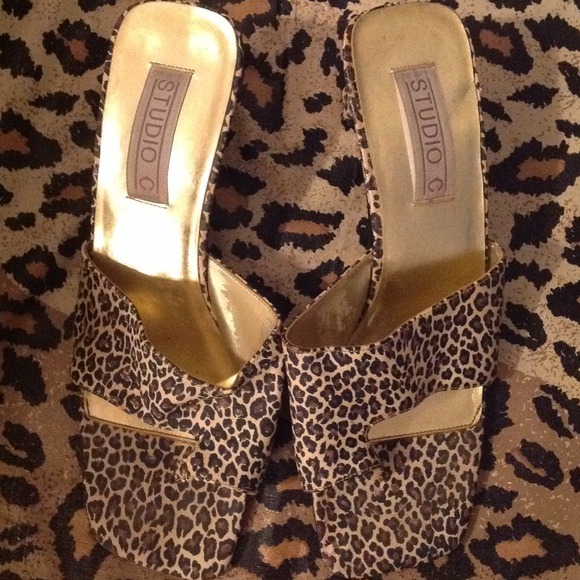 Leopard slides