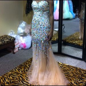 Gorgeous Designer Prom Dress!