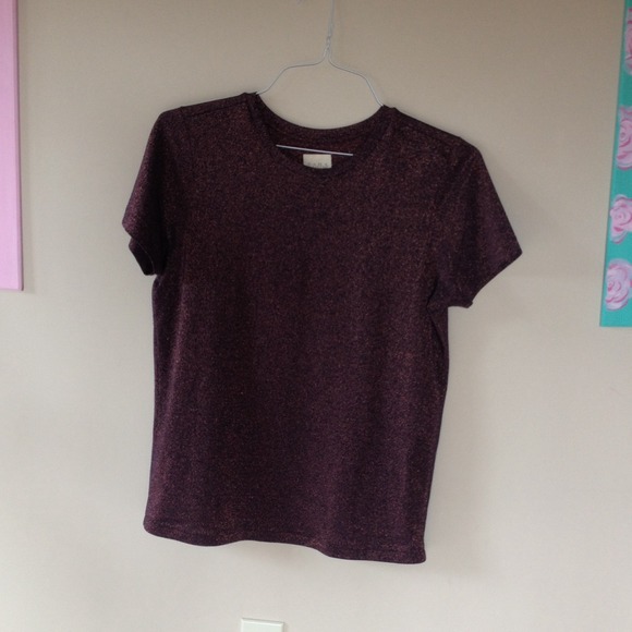 Gold/Maroon Zara top