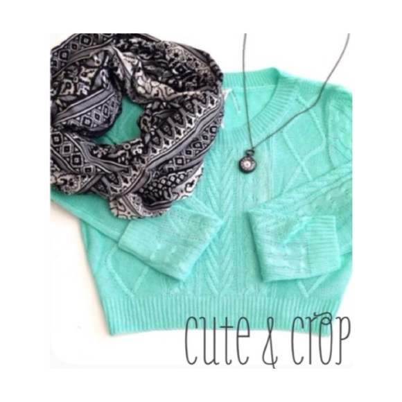 Tops - ✨SALE Crop Sweater