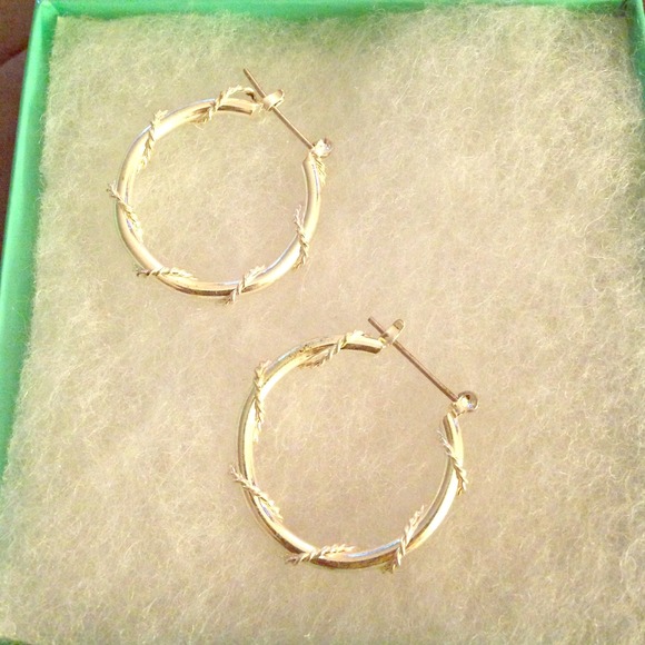 Silver hoops