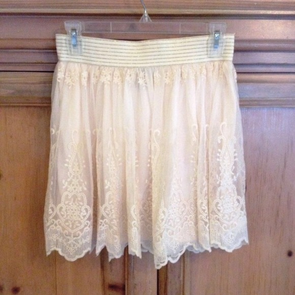 Lace Embroidered Mesh Skirt