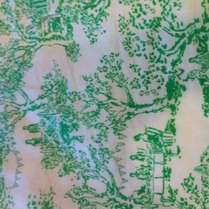 Lilly Pulitzer Skirt