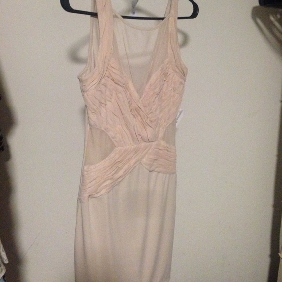 Mesh blush color dress