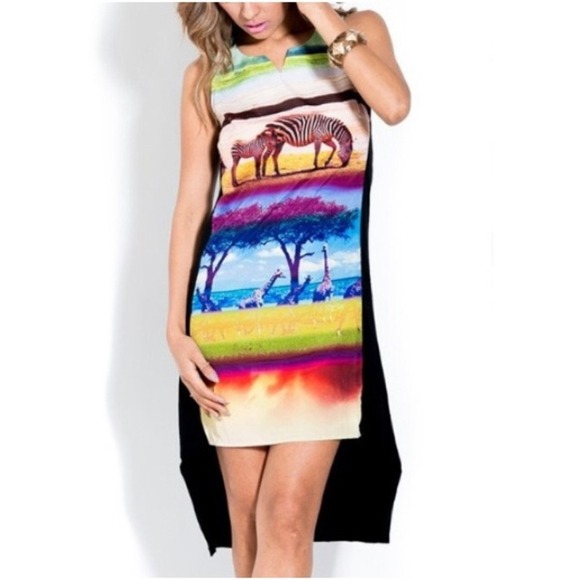 NWT Safari Asymmetrical dress