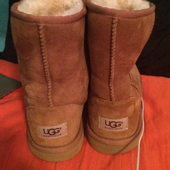Short Chestnut Uggs