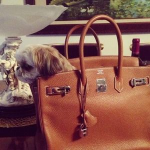 Hermes Birkin 35cm Bag and Kiwi