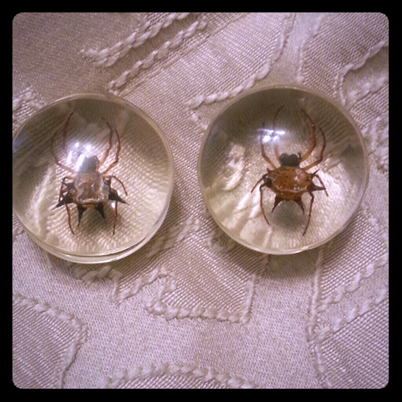 Jewelry - Spider Plugs