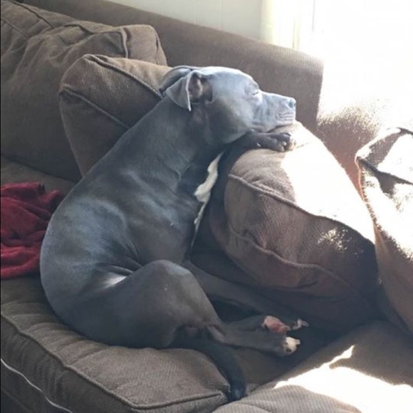 **Welcome to My closet** - Picture 7 of 8