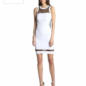 Laundry by Shelli Segal Crepe & Mesh Dress