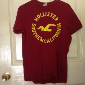 Mens Hollister shirt