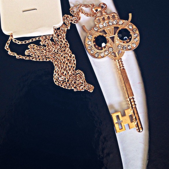 ❗️🚫SOLD IN BUNDLE❗️Gold Vintage Owl Key Necklace - Picture 2 of 2