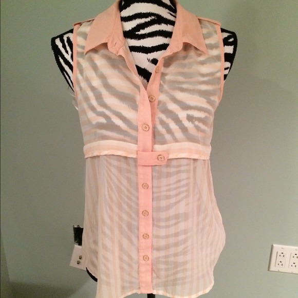 Pink Sheer Blouse
