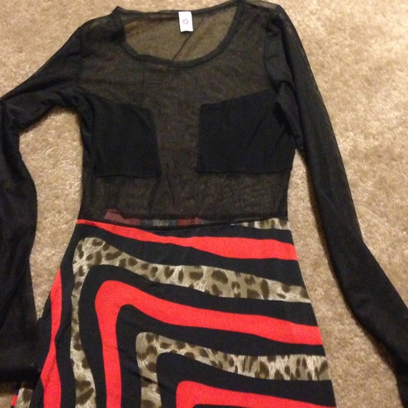 Long sleeve see though dress