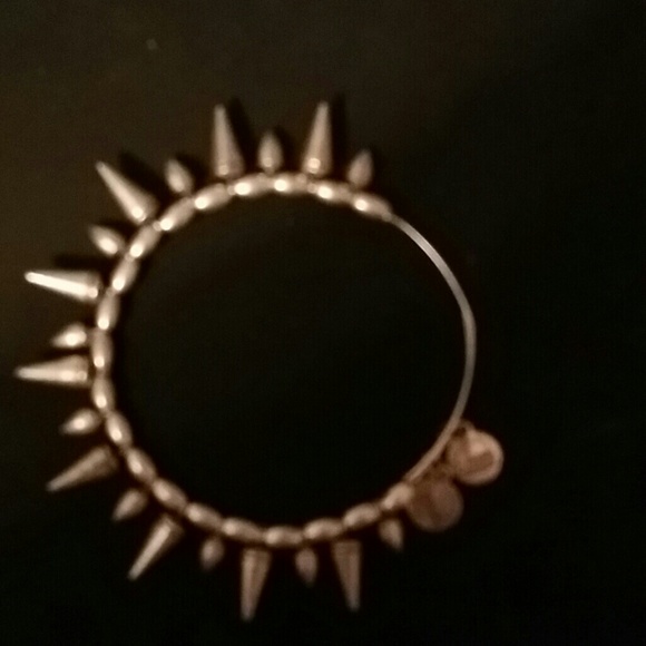 Alex and ani bracelet NWOT
